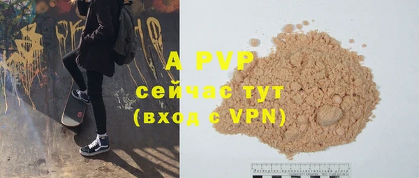 ГАЛЛЮЦИНОГЕННЫЕ ГРИБЫ Кодинск