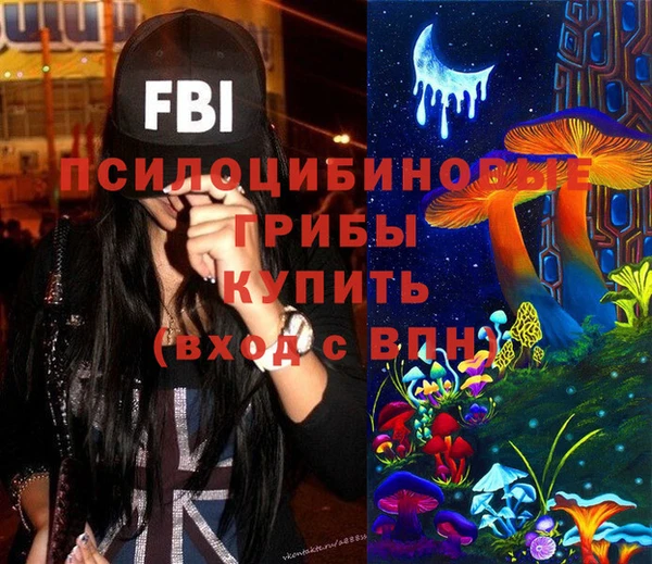 ешки Козловка
